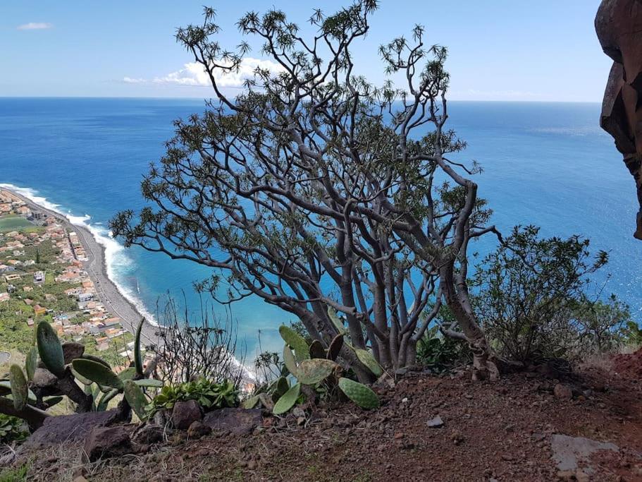 O Pomar - A Quiet Sunny Place With Amazing Sea Views Paul do Mar (Madeira) Exterior foto